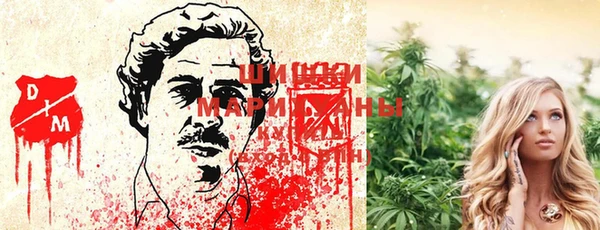 spice Белокуриха