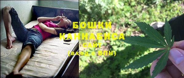spice Белокуриха